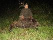 21.09.2013r Ody�czyk strzelony przy kukurydzy. Strza� z 70m za uszko… Darz B�r !