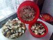 Troch� do pierog�w i jajecznicy, reszta do marynaty.