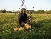 s.ko�le     ,obw.polny......DB...RAJMUND..