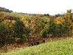 Pierwsze p�dzenie - Naloty