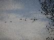 I �urawie by�y.