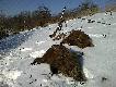 Pierwszy dublet z kniej�wki. Zdj�cie z lutego, ale dopiero mia�em chwil� na wrzucenie.