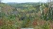 Temagami, Ontario, Canada
TEMAGAMI - w jzyku tubylcw znaczy - gboka woda przy brzegu. W rejonie osady Temagami jest bardzo duo jezior o skalistych brzegach i gbokiej wodzie. Na najwiekszym jeziorze - TEMAGAMI - jest okoo ptora tysicy wysp. Tu w Temagami, dawniej i dzi mieszkaj miedzy innymi tubylcy-Odibuey, mieszka "Grey Owl" i teraz my te mieszkamy. Mielimy ju okazj goci wielu myliwych, wdkarzy, turystw z Polski, Szwecji, Niemiec. To dla upamitnienia ich pobytu prezentujemy te widoki zatrzymane w kadrze.
