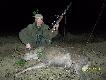 J.ciele strzelone z podchodu...Polowanie trwa�o 5 min...Strza� z 60 m w szyjk� dlatego to zgrubienie,waga 42 kg...DARZ B�R kemor 21...