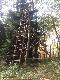 Troch� dlugo to budowa�em ale przy wolno stoj�cej zwy�ce to norma....