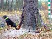 Ob�j i koniec zdj�c, zacze�o pada� :/ 