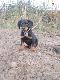 Bruno 2 miesiace:)