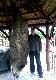 B�dzie duuuuu�o kotlet�w i wyborny smalec :-)