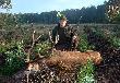 Byk z tegorocznego rykowiska.. Waga tuszy 156kg,wiek 7 lat . Darz B�r!