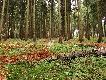 Drugie p�dzenie - Naloty. Nic