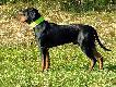 Ob�j :)