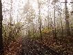 Pogoda w g�rach zmienna jest - momentalnie pojawi�a si� mg�a...