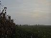 Ostatnie p�dzenie
