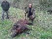 Prawie 150 kg odyniec kolegi z K� Rega Gryfice. 