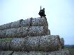 Go�cinne polowanie na stogach w Bia�ej Podlaskiej.