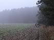 No i za chwil� "wyjecha�a" wataha i pi�knie spud�owa�em