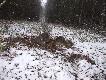 D �ania,D ciele 26-11-2013r.