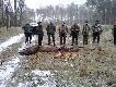 Pokot  z polowania 8.12.2013 :-)