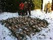 Polowanie na zajce
Polwanie na zajce  07.12.2013. Zostaem krlem polowania oglnie pozyskaem 10 kotw, z czego w  trzecim pdzeniu na stanowisku nr 11 strzeliem 7 zajcy w tym jednego dubleta. Polowalimy w 19 strzelb, a w 7 pdzeniach pozyskalimy 40 zajcy