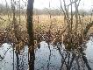 15.12.2013 tak go wypatrzy�em