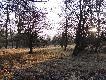 Uroki naroczyckiego ��gu