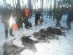 Siemiatycze 08.12.2013