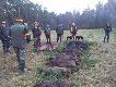 W trakcie uk�adania pokotu, polowanie noworoczne.
