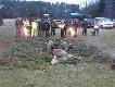 12.01.2014. Ostanie polowanie zbiorowe w tym sezonie, w kt�rym bra�em udzia� tym razem stoj�c ju� na linii, a nie w miocie z pieskami. Pokot; 1 �ania 2 dziki 2 kozy