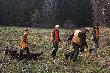 Jeden z udanych miot�w i niezast�pieni koledzy z naganki,  podczas  polowania kt�re mia�em okazj� poprowadzi� .Darz B�r