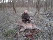 Poranny podch�d