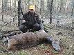 24.12.2013r, Polowanie Wiglijne... W pierwszym miocie oko�o 30 metr�w od mojego stanowiska chmara pr�bowa�a bezpiecznie opu�ci� miot... Odda�em dwa szybkie strza�y, pierwszy by� celny lecz drugi niestety by� w modrzewia...