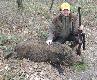 ...po czym trafia oko�o 60 kg dzika na komor�, "wywalaj�c go" po oko�o 20 metrach. Pierwszy strza� s�siada w miot wida� na gwi�dzie dzika... 9,3x74R to najlepszy zbior�wkowy kaliber...Niech kto� powie, �e nie ;;;;))))