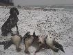 Mietk�w 14.01.2014