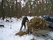no...i jeste�my uwolnieni