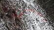czerwon� linia zaznaczy�em ostatni akt tej sceny "�mier�"