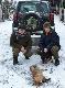 26.01.2014 polowania K� ORʯ Pleszew
ICH NEMO z Kr�liczego Do�ka