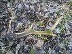 17.02.2014 dzi� tylko stary �smak
