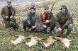 16.02.2014r go�cimy w K� nr 21 DROP w Kazimierzu Biskupim...
ICH NEMO z Kr�liczego Do�ka
REKS Lisi Szaniec
