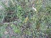 Zdj�cie 74.
Stali obserwatorzy naszych �ow�w.