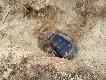�owiectwo czasami niesie za sob� g��bokie do�wiadczenia :D