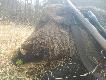 Z bli�szej perspektywy,  aby ukaza� to co ka�dy chce ujrze� w le��cej sztuce . Darz b�r !!! Pozdrawiam 