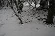 07.03.2014r. Rok sobie pole�a� 