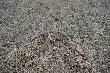 08.03.2014r. Tak go znalaz�em 