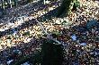 12.03.2014r.Taki sz�stak podniesiony przez brata 