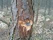 Zbior�wkowe pud�a :-)