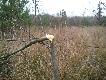 Zbior�wkowe pud�a :-)