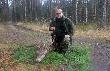 Byk �owczego. R�wnie� strzelony na zbior�wce.