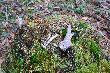 26.03.2014r.