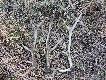 29.03.2014 dwa �wie�e dziesi�taki i stary �smak