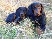 Ob�j i Alt :)